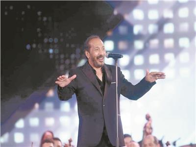 على الحجار