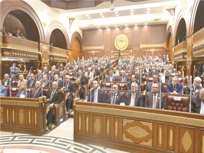 «الشيوخ» ينتخب هيئات مكاتب اللجان |علام لـ«الدينية» وأبوهشيمة لـ«الاقتصادية» وعمران لـ«الإعلام»