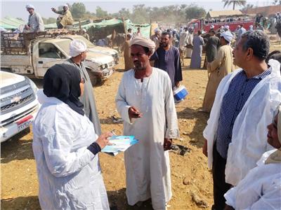 بيطرى أسوان :تحصين 12 ألف و681 رأساً من الماشية ضد الأمراض الوبائية