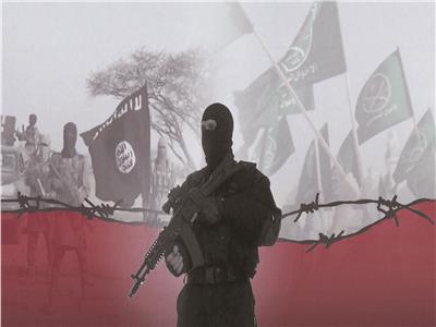 قصف دولى على «الإرهابية»