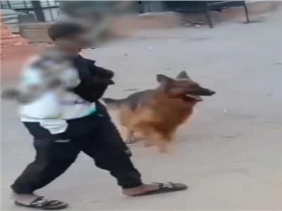 ضبط شخص روّع مواطنًا بكلب