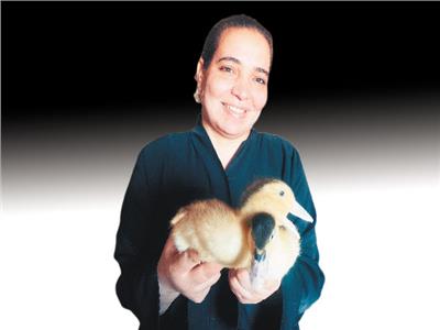 البط والفراخ