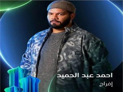 الفنان  أحمد عبد الحميد