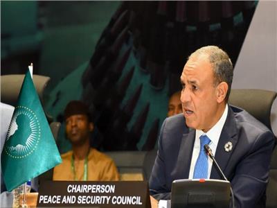 وزير الخارجية والتعاون الدولي والمصريين بالخارج