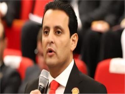 النائب أحمد سمير زكريا، عضو اللجنة الاقتصادية بمجلس الشيوخ