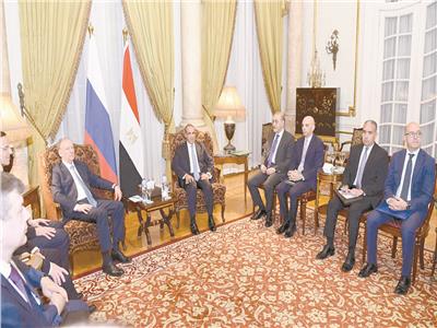 عبدالعاطى: جهود مصرية متواصلة لدعم الأمن والاستقرار