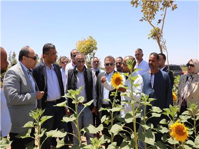 محافظ البحر الأحمر خلال وضع حجر أساس المرحلة الثالثة لمشروع زراعة الجوجوبا بالغردقة