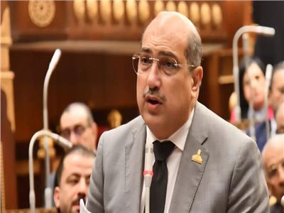 النائب الدكتور إيهاب وهبة