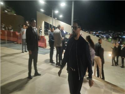 حسن الشافعي