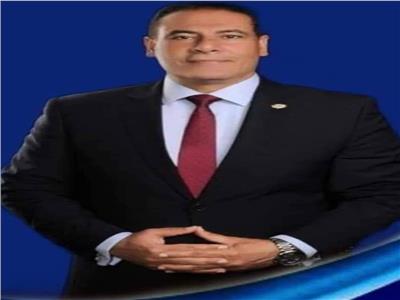 المستشار حمزة فؤاد