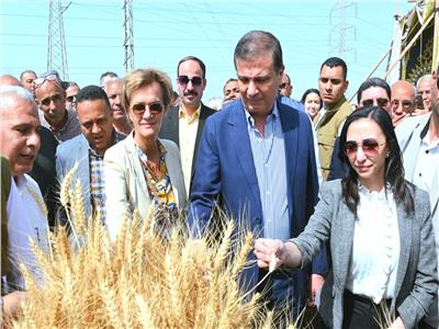 محافظ البحيرة: حصاد القمح موسم للعمل والعطاء والإنجاز 