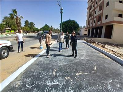 للقضاء على الزحام بالخارجة.. إنشاء ساحة انتظار سيارات "متطورة" بشارع جمال عبد الناصر