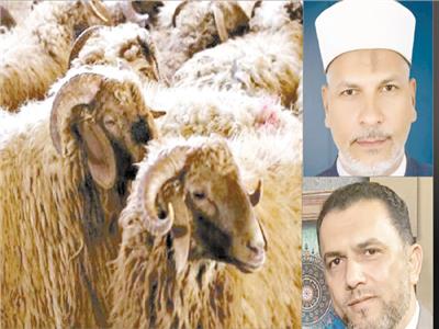 د. معوض حماد - د.صفوت المتولى - الأضحية