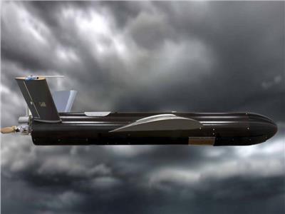 طائرة انتحارية  طراز «Rogue 1»