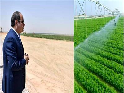 الرئيس عبد الفتاح السيسي