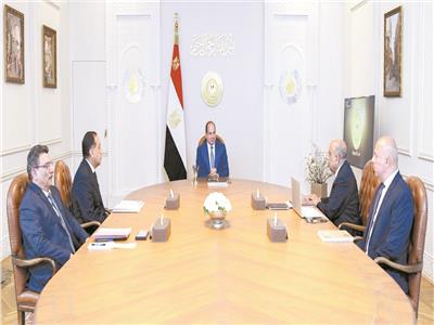 السيسى يوجه بالإسراع فى مشروعات الطاقة المتجددة وربطها بالشبكة القومية