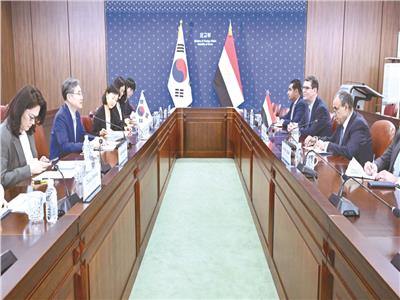 وزير الخارجية: مواقفنا تؤكد على احترام سيادة الدول