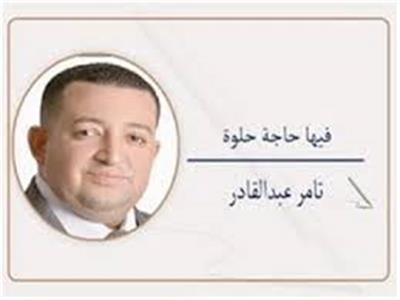 تامر عبد القادر