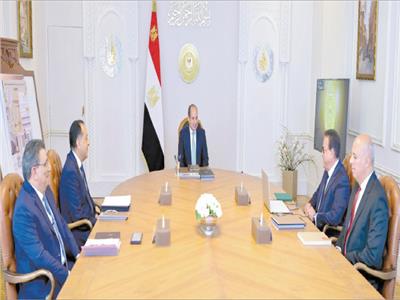 الرئيس عبدالفتاح السيسى مع رئيس مجلس الوزراء ووزير الصحة 