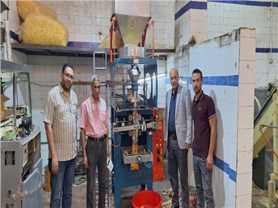 حملات تمونية