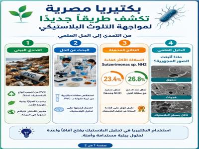 صورة موضوعية