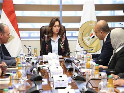وزيرة التنمية المحلية والبيئة