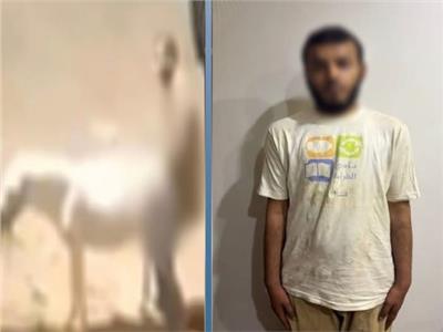 المتهم عقب القبض عليه