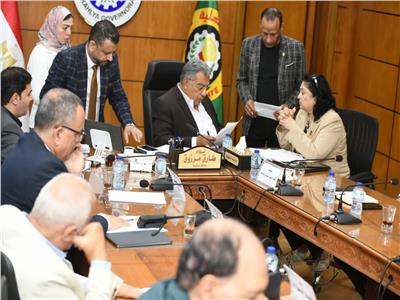 محافظ الدقهلية خلال الاجتماع