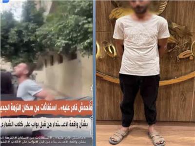 ضبط حارس عقار بعد ظهوره في فيديو التعدي على كلاب ضالة