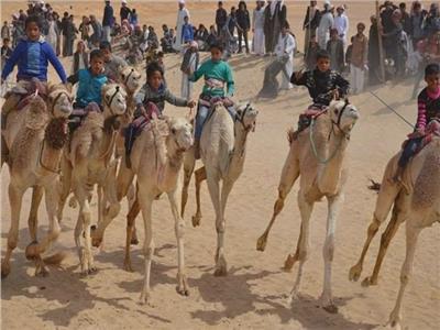 سباقات الهجن بالعريش