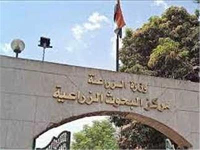 مركز البحوث الزراعية