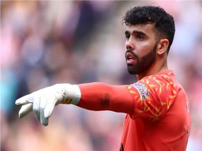 ديفيد رايا حارس مرمى منتخب إسبانيا