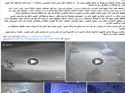 جانب من المنشوارت
