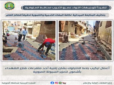 محافظ المنوفية يتابع أعمال الرصف 