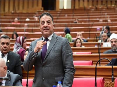 النائب فيصل أبو عريضة