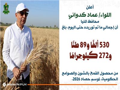 اللواء عماد كدواني