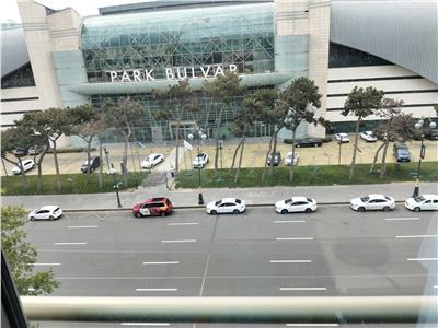 صورة موضوعية
