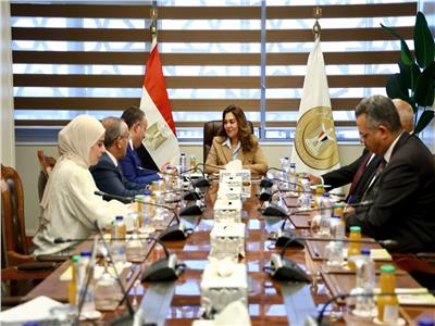 وزيرة التنمية المحلية والبيئة تبحث مع نقيب المهندسين ملفات التعاون المشترك