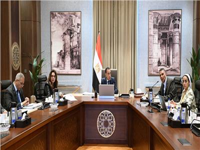 رئيس الوزراء 