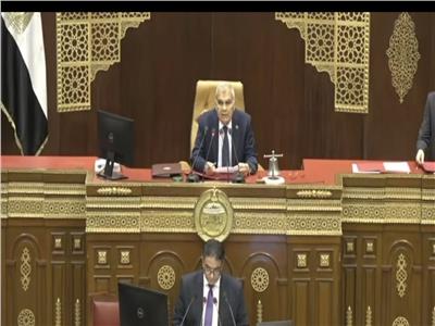 المستشار عصام الدين فريد