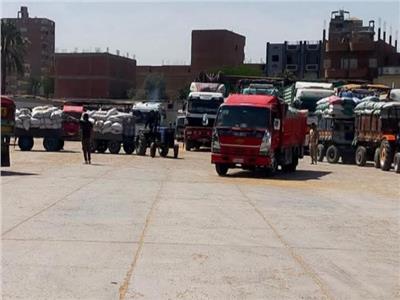 توريد ١٨٦ ألف طن قمح بسوهاج