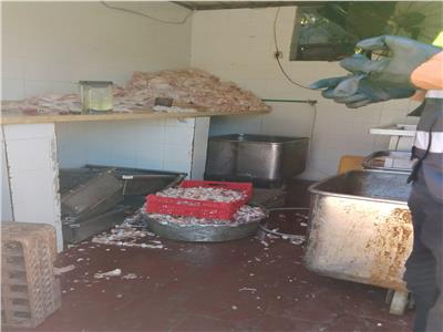 موضوعية