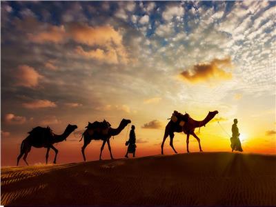 الأوقاف: العفو عند المقدرة.. من دروس وعبر الهجرة النبوية الشريفة