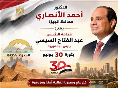 الرئيس عبد الفتاح السيسي