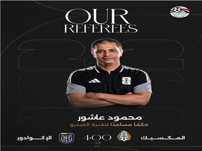 الحكم الدولي المصري، محمود عاشور