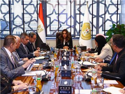 الدكتورة منال عوض وزيرة التنمية المحلية والبيئة