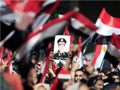 ثورة 30 يونيو