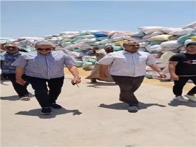 صورة موضوعية