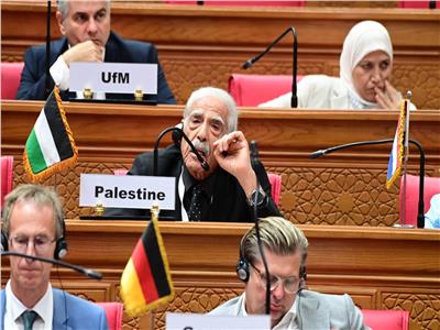 ممثل فلسطين إبراهيم أبو النجا 