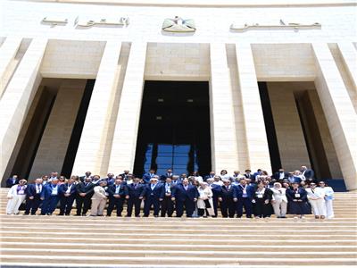 النائب محمد أبو العينين